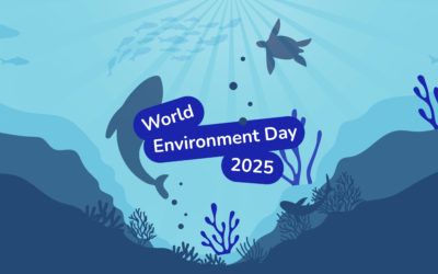 World Environment Day 2025: Tackling Plastic Pollution Together